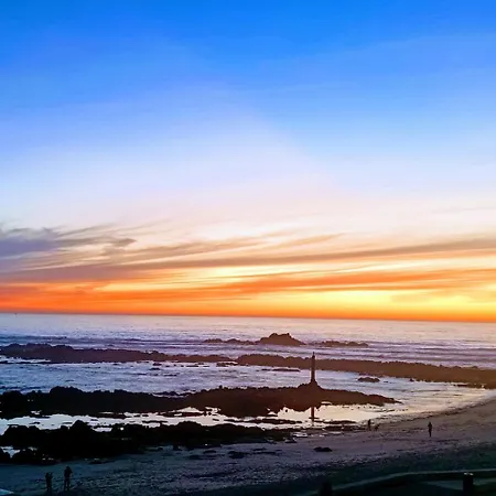 Cachinnans & * Vila do Conde