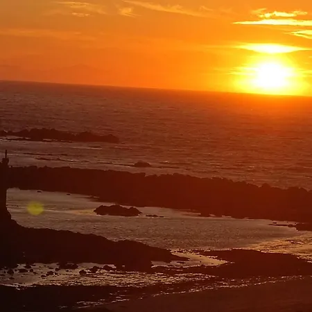 Cachinnans & Hostal Vila do Conde